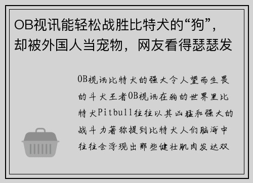 OB视讯能轻松战胜比特犬的“狗”，却被外国人当宠物，网友看得瑟瑟发抖